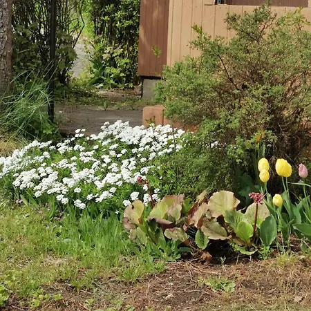 Zur Langen Heide 아파트