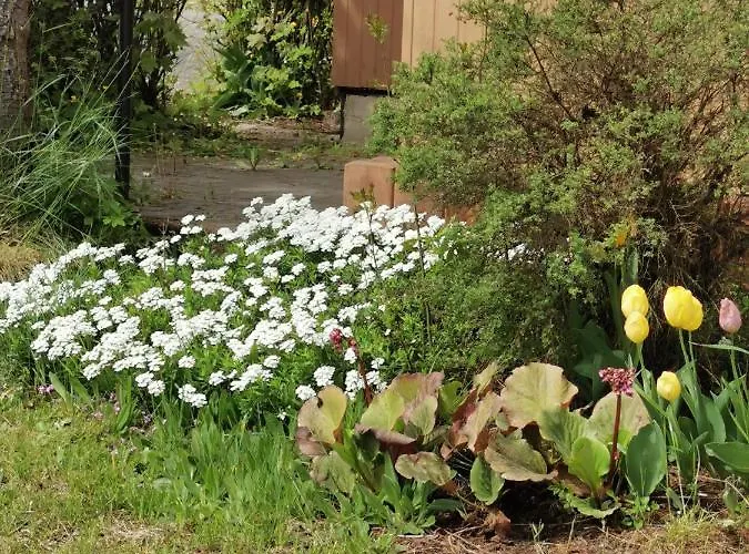 Zur Langen Heide Apartamento